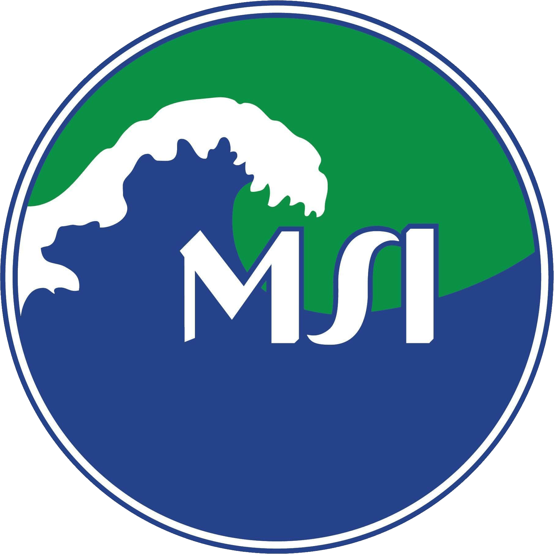 MSI